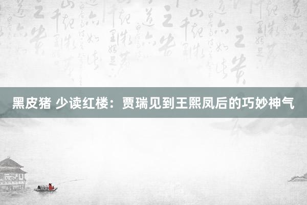 黑皮猪 少读红楼：贾瑞见到王熙凤后的巧妙神气