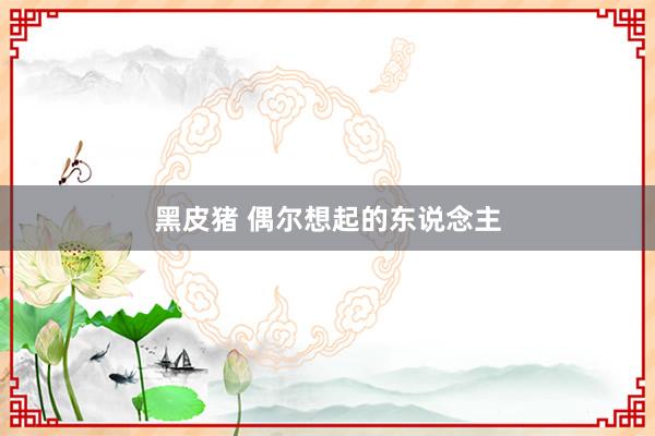 黑皮猪 偶尔想起的东说念主