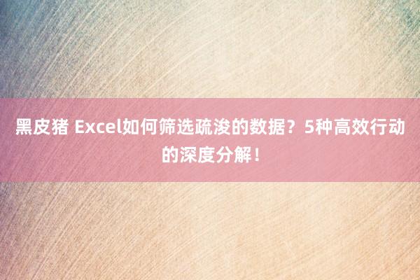 黑皮猪 Excel如何筛选疏浚的数据？5种高效行动的深度分解！