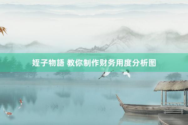 姪子物語 教你制作财务用度分析图